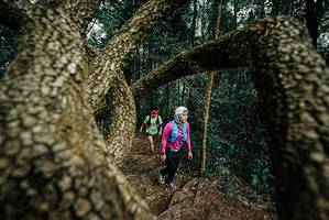 BIB: 
                            <button type="button" onclick="openModal(25703222)" class="btn btn-primary btn-sm float-right btn-popup" data-toggle="modal" data-target=".modal-high-quality">
                        <i class="fas fa-shopping-cart"></i> Add to Cart
                    </button>
                                            <button type="button" onclick="isThisMe(25703222, true)" class="btn btn-success btn-sm float-right btn-popup btn-isme hidden" data-toggle="tooltip" data-placement="bottom" title="นี่คือรูปของคุณใช่ไหม คลิกที่นี่เพื่อเอาเข้าอัลบั้ม">
                        <i class="fas fa-plus"></i> Add to album
                    </button>
                    <button type="button" onclick="isThisMe(25703222, false)" class="btn btn-warning btn-sm float-right btn-popup btn-isnotme hidden">
                        <i class="fas fa-ban"></i> Remove from album
                    </button>